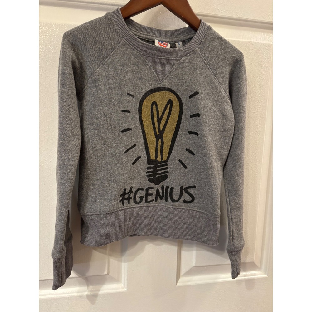 Junk Food Kids Gray Genius Light Bulb Graphic Raglan Sweatshirt Size S/8-10